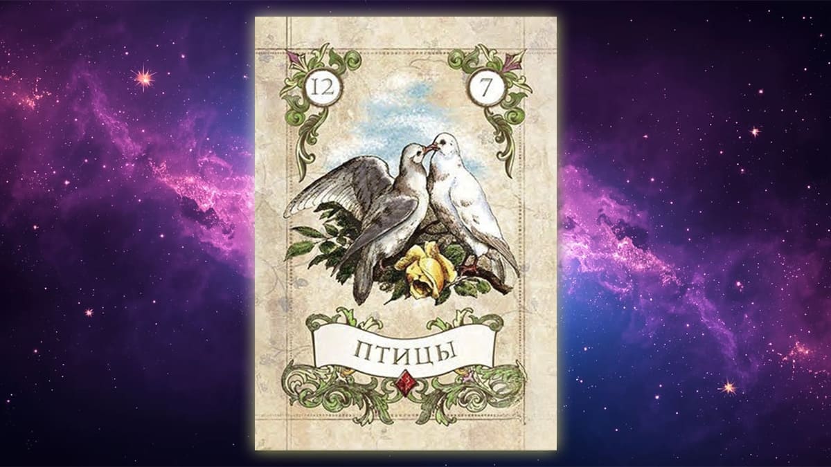 Карта Ленорман Птицы (12)