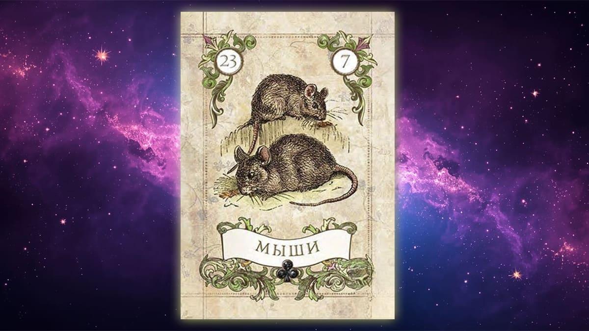 Карта Ленорман Мыши (23)